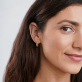 Luna Elegante Snoede Øreringe | 14k Guld